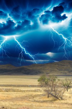 Steppe, çayır, sade, çöl. Doğanın elektrikli dansına tanık olun, gece gökyüzünde uzanan ateşli dallar, binlerce güneşin parlaklığıyla dünyayı aydınlatıyor. Doğa Enerjisi