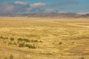 Steppe, Prairie, doğanın kucağında teselli bul, ateşli çöl manzarasının uzak çöl harikalar diyarının engebeli güzellikleriyle harmanlandığı yerde.