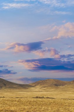 Steppe, Prairie, sade, pampa. Doğanın şaheserine tanık olun. Güneş çayırları kucaklıyor ve gecenin gelmesinden önce ona sıcak bir kucaklama aşılıyor. Gün batımı