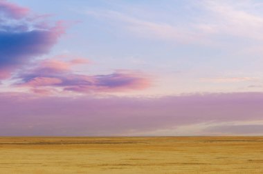 Steppe, prairie, plain, pampa. Witness the majestic dance of light and shadow as a picturesque sunset descends across a tranquil field, capturing the beauty that nature paints in the sky. clipart