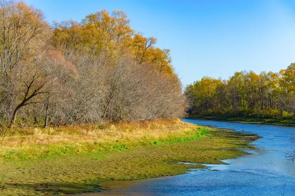 Mevsim değişimi nehre yeni bir perspektif getiriyor. Su çekildikçe, nehrin gizli derinlikleri açığa çıkar. Sonbahar renkleri sığ nehrin sakin yüzeyini yansıtır.
