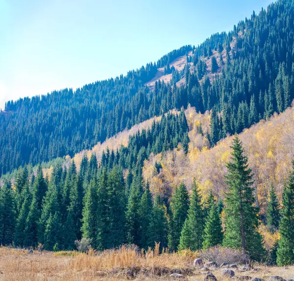 Tien Shan Dağları 'nın etkileyici güzelliğinin tadını çıkarın. Resmedilmeye değer manzaralar arasında ruhunuzu tazeleyip canlandırın. Kendinizi doğanın dinginliğine bırakın.