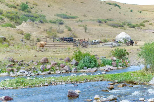 Çoban yurdunda geleneksel Kazak göçebe yaşam tarzı. Benzersiz bir çevrede kalırken nefes kesici dağ manzarası. Kendinizi Kazak halkının kültürüne ve geleneklerine kaptırın..