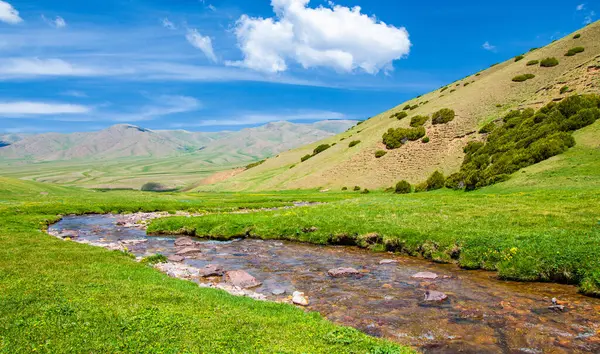 Dağlarda yaz. Dağlık arazide bir nehir. Yaz manzarası. Binlerce yorgun, sinirli, aşırı medeni insan, dağlara gitmenin eve gitmek demek olduğunu anlamaya başlıyor..