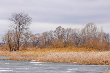 Kıştan sonra doğanın nasıl canlandığına bakın. Çiçek açan ağaçların ve yeşil çimenlerin güzelliğinin tadını çıkar. Yeni başlangıçların ve yeni başlangıçların heyecanını hisset..