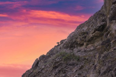 Doğanın dingin güzelliğinin tadını çıkar. Nehrin arazide nasıl huzur içinde aktığına bakın. Güneşin altındaki dağların ve ağaçların nefes kesici manzarasının tadını çıkar..