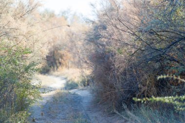 Toprak bir yolculuktaki düşüşün çarpıcı güzelliğini tecrübe et. Bozkırların ve bozkırların gizli harikalarını keşfedin. Doğayla bağlantı kur ve kendini onun saf güzelliğine daldır..