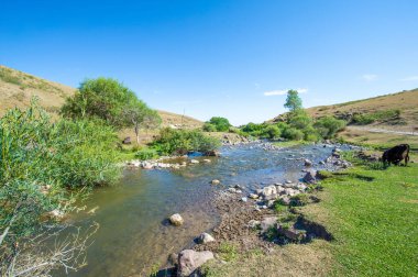 Dağ nehrinin huzurlu güzelliğinin tadını çıkar. Akan sulardaki antik sihrin fısıltılarını dinle. Doğanın sonsuz güzelliğini ve huzurunu hisset..