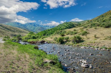 Kendinizi bir dağ nehrinin doğal güzelliğine daldırın. Hikâyelerin fısıltılarını dinlerken doğanın büyüsünü hisset. Antik güzelliğin sükunetini ve dehşetini tecrübe et..