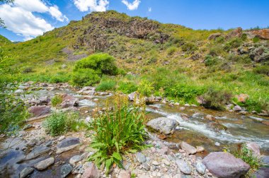 Nehrin dingin akışını görkemli kanyondan hissedin. Dağların ortasındaki doğanın çarpıcı güzelliğini keşfedin. Kendinizi nefes kesici manzaraya daldırın.