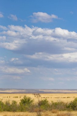 Çayır, düz, çöl. Sonsuz kum tepecikleri göz alabildiğine uzanır ve yaşam belirtisi yoktur. LostIn Desolation