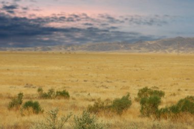 Steppe, Prairie, sade, pampa. Gün sona ererken çöl aydınlık gökyüzüne teslim olur. Güneşin Gesmerying Sunsets Serene Manzaraları.