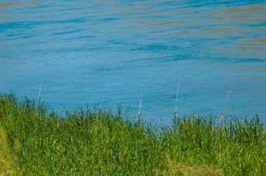 Dokunulmamış doğada balık tutmanın heyecanını yaşayın. Kayalık bir nehri avlamak için mükemmel bir yer bul. Balık tutarken huzurlu ve huzurlu bir ortamın tadını çıkar..