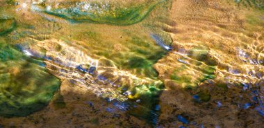 Net bir akış ve canlı yosunlara sahip doğadan esinlenilmiş bir tasarım. Herhangi bir odada sakinleştirici ve huzurlu bir atmosfer yaratın. Doğanın güzelliğini evinize ya da ofisinize getirin..