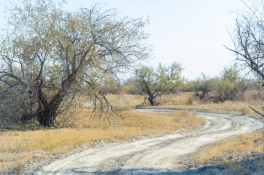Manzaralı toprak bir yolda düşüşün güzelliğini hisset. Bozkırın nefes kesici manzarasına dalın. İnsanoğlu ve doğa arasındaki ahenkli ilişkiye tanık olun..