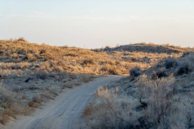 Bozkırda sonbaharın nefes kesici güzelliğinin tadını çıkar. Kum tepelerinde çarpıcı bir günbatımına tanık olun. Günbatımı Büyüsü sırasında dinginliğin altın renginin tadını çıkar..