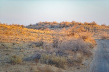 Bozkırın dinginliğini ve günbatımının güzelliğini hisset. Endişelerini geride bırak ve kendini doğanın sükunetine bırak. Güneş batarken gökyüzünün canlı renklerinin tadını çıkar.