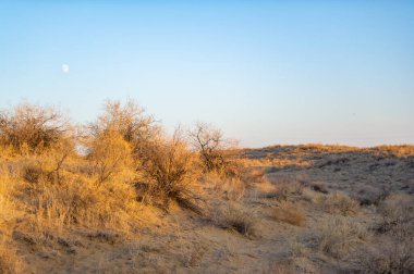 Gün batımında çölün nefes kesici güzelliğinin tadını çıkar. Güneşin kum tepelerinde çarpıcı bir renk oyunu yaratışını izleyin. Kendinizi bu doğal manzaraya daldırırken huzur ve huzur hissedin.