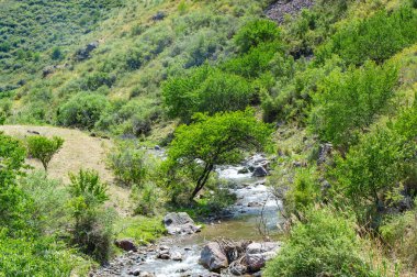 Doğanın sükunetini ve güzelliğini hisset. Kayalık kanyondan akan nehri izle. Etrafını saran dağların görkemli manzarasının tadını çıkar..