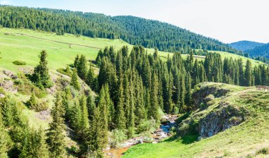 Dağlarda yaz. Dağlar hem bir yolculuk hem de bir hedeftir. Bizi yamaçlarına tırmanmaya, kanyonlarını keşfetmeye ve zirvelerine tırmanmaya zorluyorlar..