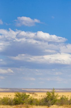 Affedilmez çöl önünüzde durmadan uzanırken, kendinizi bu el değmemiş, evcilleştirilmemiş diyara daldırın, çorak toprakların ebedi cazibesinin keşfinizi beklediği yere..