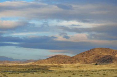 Steppe, Prairie, sade, pampa. Güneşin ufku nazikçe öptüğü ve el değmemiş çayırlarda büyüleyici bir renk senfonisi oluşturduğu huzurlu bir an.,