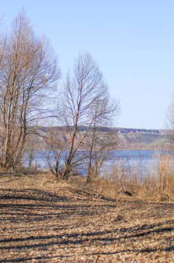 Sarı alanlar ve seyrek otlar kıştan bahara geçiş sinyalleri veriyor. Yapraksız çıplak ağaçlar, kışın sonunu simgeliyor. Erimeden önce kalan son kar parçaları da toprağa yapışmış..