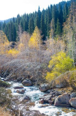 Tien Shan Dağları 'nın hayranlık uyandıran güzelliğini tecrübe edin kendinizi doğanın harikalarına daldırın ladin ve huş ağaçlarının bereketli yeşilliği arasında sizi suskun bırakacak kaya oluşumları