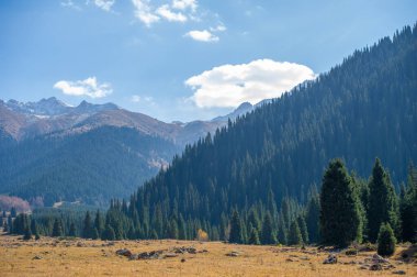 Sonbaharda Tien Shan Dağları 'nın hayranlık uyandıran güzelliğini tecrübe edin. Çevreyi renklendiren yaprakların canlı renklerine daldırılmalı. Doğa aşıkları için ideal bir tatil yeri..