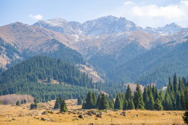 Sonbaharın dingin güzelliğinin tadını çıkarın TienShan dağlarında kendinizi yemyeşil çam ağaçlarının ve canlı çiçeklerin sükunetine daldırın bu güzel manzaranın tadını çıkarmak için sakin bir yürüyüş yapın