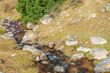 Tien Shan sıradağlarının sükunetini keşfedin. Bereketli yeşil ormanlarla çevrili el değmemiş bir nehrin nefes kesici güzelliğine tanık olun. Doğanın sükunetini ve ahengini hissedin.