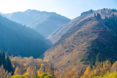 Sonbahar yapraklarının güzelliğine dalın. Dağlarla çevrili bir ormanın huzurunu hissedin. Kendini doğanın kollarında kaybet ve teselli bul..