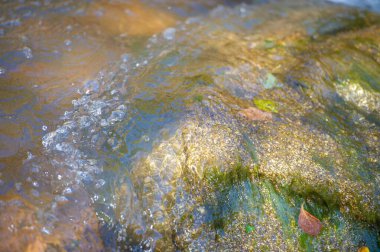 Bir dağ deresindeki su, korkusuzluğu ve azmi temsil eder. Yolunuzu Bulmak: Zorlukları berraklık ve kararlılıkla aşma kavramı.