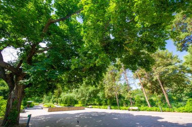 Kendinizi doğanın sükunetine daldırın, bu resim parkında, renkli uzun ağaçlarla süslenmiş. Ve hışırdayan yaprakların rahatlatıcı sesleri senfonin olsun..
