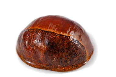 Tüm mütevazı ihtişamıyla mütevazı kestaneye dikkatle bakın. Kocaman aromalı küçük bir hazine, temiz beyaz bir tuvalde zarif bir şekilde dengede duruyor. Sadece Kaçık