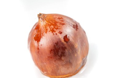 Altın tonlarda kestane ağacının çarpıcı yakın plan fotoğrafı. Doğanın karmaşık detayları boş beyaz bir tuvale kaydedildi. Makro fotoğrafçılığın en iyi yanı canlı renkler ve dokulardır.