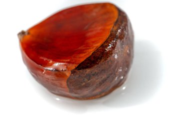 Kestane ağacı, beyaz arka planda çarpıcı detaylarla yakalanır. Kırsal cazibe ve doğal güzellik bu NaturePhotography görüntüsünde güzel bir şekilde yer alıyor..