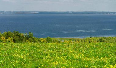 Yaz manzarası. Dünyanın Avrupa bölgesindeki bir nehir. Güneşli sıcak bir gün. Yeşil ağaçlar, çimenler. Mavi gökyüzü küçük bir bulut örtüsüyle.