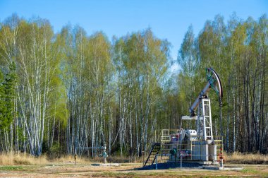 Ormanlık alanlardan petrol çıkarmak için pompalama teknolojisini kullanın. Talep yüksek olduğu bahar aylarının başında üretimi optimize edin. Orman ekosistemlerini korumak için çevre koruma tedbirleri uygulansın