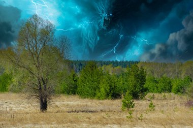 Doğanın güzelliğinin canlandığını hisset. Bahar ormanının rahatlatıcı atmosferinin tadını çıkar. Uyanan doğanın görüntüsünün ve seslerinin tadını çıkar..