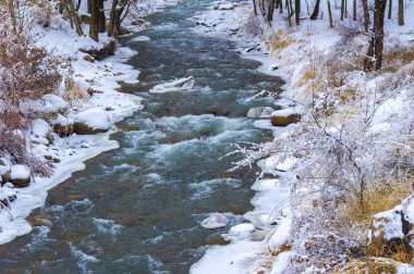 Nehir kışın donar. Yerel nehrimizle geçen kışın en sevdiğim kısmı sislerin süzülüp etraftaki ormanı kaplaması. Yumuşak, gizemli ama huzur verici bir yer yaratıyor..