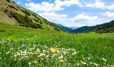 Dağlarda yaz. Dağlar hem bir yolculuk hem de bir hedeftir. Bizi yamaçlarına tırmanmaya, kanyonlarını keşfetmeye ve zirvelerine tırmanmaya zorluyorlar..