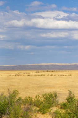 Çayır, düz, çöl. Sonsuz ufuktaki altın kum tepeleri batan güneşin sıcacık parıltısında güneşlenir ve oradan geçen herkese büyüleyici bir büyü yapar. Çölde Huzur