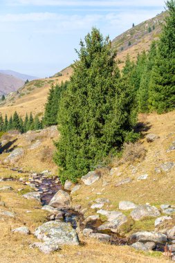 Sonbahar Tien Shan dağlarının çarpıcı güzelliğinin tadını çıkar. Canlı yaprakların ve yükselen tepelerin muhteşem manzarası. Doğayı sevenlerin sonbaharın sihrine kapılmaları için cennet gibi bir yer..