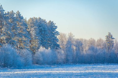 Kendinizi bir kış harikalar diyarına daldırın. Dokunulmamış karla kaplı alanlarda yürümenin zevkini yaşayın. Temiz ve ferahlatıcı havayı içine çek. Bırak her adım keyifli olsun.