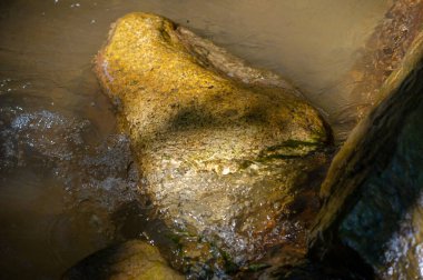 Bir dağ deresinin huzur dolu güzelliğini tecrübe et. Rahatla ve doğanın kucağında huzuru bul. Artan sularını keşfederken gizli harikalar keşfedin..
