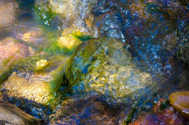 Kendini resim gibi bir derenin rahatlatıcı atmosferine daldır. Yosun kaplı kayaların üzerinden akan temiz su sakin bir ortam yaratır. Bırak rahatlatıcı sesler çıksın.