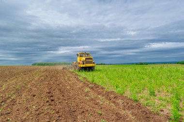 Bahar fotoğrafçılığı, ziraat makineleriyle manzara, bir traktör tarlayı sürüyor, tarlayı sürüyor, kuşlar ekilebilir arazinin üzerinde uçuyor.