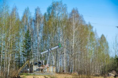 Bir kriko pompası yerden ham petrol çıkarmak için kullanılır. Ormanda ilkbahar, ağaçların kendilerini göstermeye ve yeni filizler oluşturmaya başladığı zamandır..