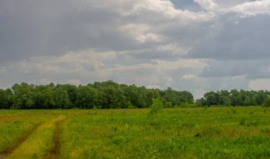Yaz, gök gürültülü bulutlar, mavi gökyüzü, sel basmış çayır tarlaları, yaz renklerinin kokusu ve çeşitli kır çiçekleri.